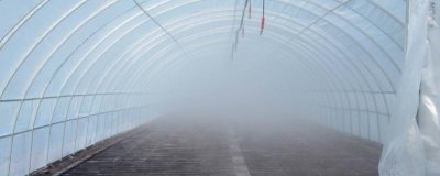 夏天高温时大棚如何有效降温,遮阳降温使用较多