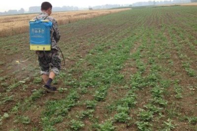 农药复配的准则,需遵循以下6点