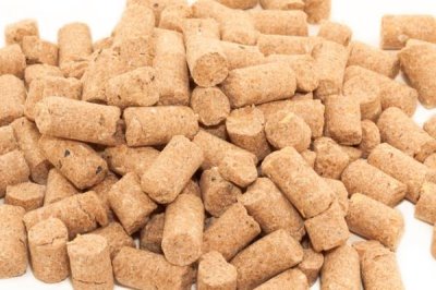 养猪没麸皮用什么代替,可以用玉米代替