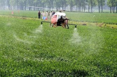 春季小麦如何注意水肥,低产麦田可追施单一氮肥
