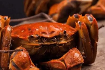 月饼的种类介绍,包括广式月饼、苏氏月饼、京式月饼等类型