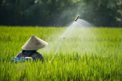 咪鲜胺可以防治什么病害,对水稻恶苗病、稻瘟病、小麦赤霉病等病害具有防效