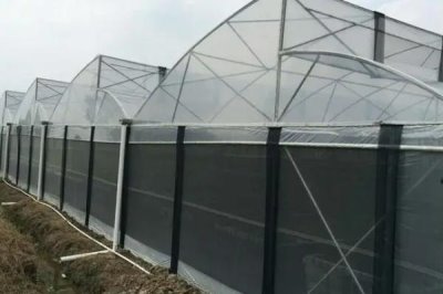 冬季大棚为什么温度低,可能是棚膜出现破损所导致
