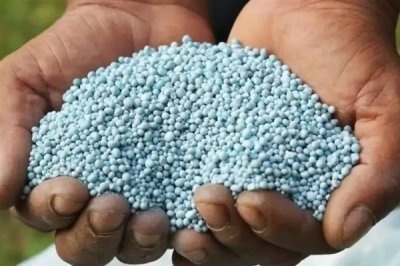 钾肥有效施需留心哪些方面,需留心土壤、作物和施肥技术