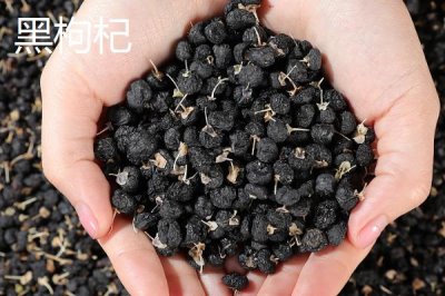 龙葵和黑枸杞的区别，外形和分布均不同