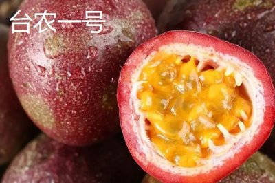 百香果属于热性还是凉性水果,二者皆不属于而是平性水果