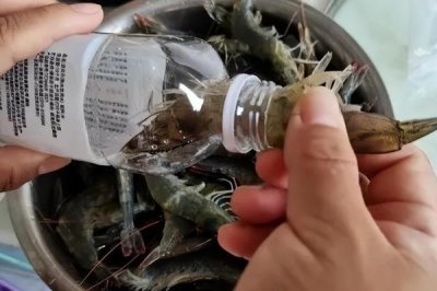 鲜虾的保存方法,可使用塑料瓶、保鲜盒、保鲜袋进行保存