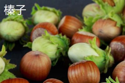 橡子的产地,在亚洲、欧洲、非洲、美洲均有分布