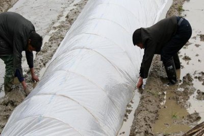 如何购买农膜，首先要看产品合格证