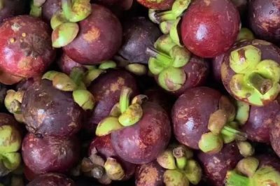 山竹的产地,主要集中在热带地区