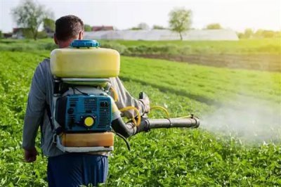 使用阿维菌素要注意什么,随配随用并且在傍晚打药