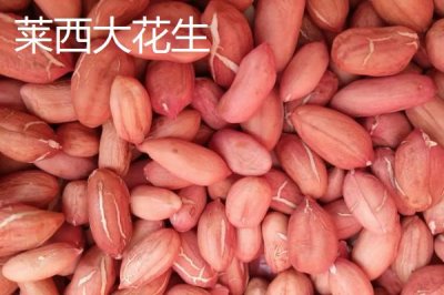 山东莱西的特产,是国务院确定的沿海地区对外开放县市之一