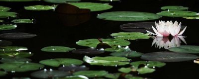 处暑节气的处的意思,可以理解为终结