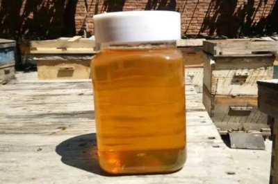 天然荆条蜜的价格,一斤通常超过40元