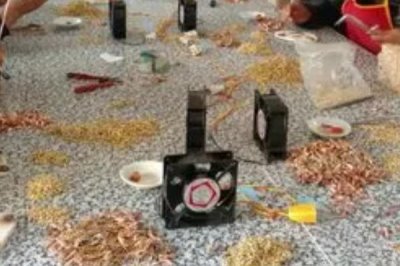 在家加工食品是否违法,没有食品安全许可证便属于违法行为