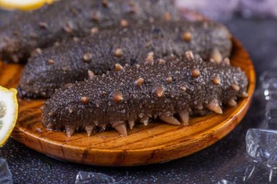 海参的养殖注意事项,要勤换水