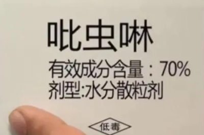 啶虫脒和吡虫啉能不能混用,二者可以混用