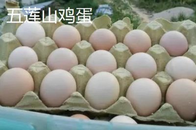 我国鸡蛋产地，主要集中在华东、华北以及东北等地区