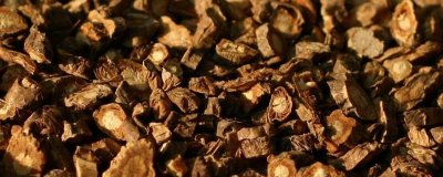 关防风、川防风和云防风的区别，分布地区不同