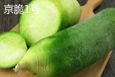 水果萝卜品种,吃起来口感更像是水果