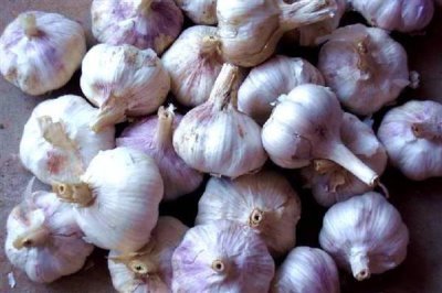 新疆伊宁市的农特土产品,有马铃薯、薰衣草精油等