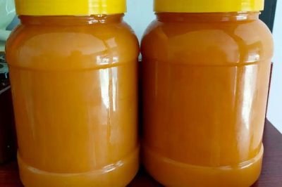 土蜂蜜简介,一年只能取1-2次蜜