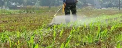 除草剂怎么施才不影响作物生长,需根据土壤的特性来喷施