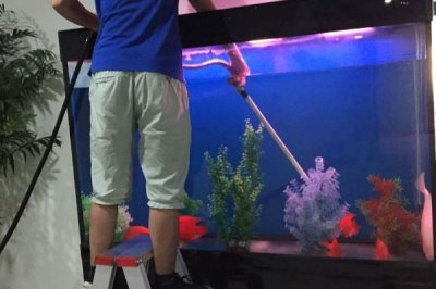 给鱼缸换水的正确方法，根据情况选择部分换水或全部换水