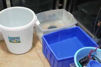 太阳能的水凉了能养鱼吗，起到了困水的作用能养鱼