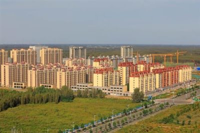 河北海兴县的特产，有鱼子鱼粉、海兴冬枣等