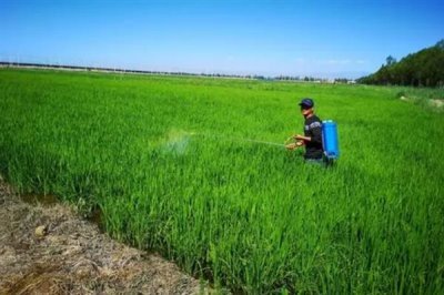 菊酯类杀虫剂可以杀哪些虫,甲氰菊酯可防治咀嚼式和刺吸式口器害虫