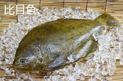 舌鳎鱼是不是龙利鱼，指的是同一种鱼