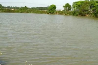 鱼塘溶氧过高有什么危害,会对鱼卵孵化和鱼苗不利