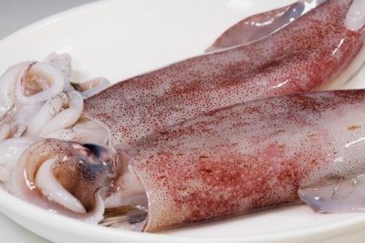 鱿鱼母和鱿鱼的区别,鱿鱼母就是雌性鱿鱼