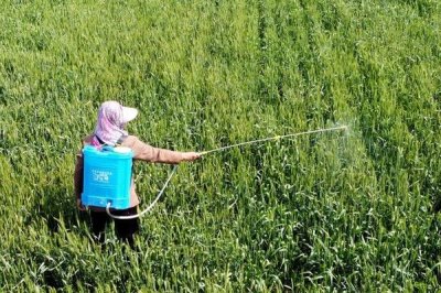 氟硅唑可防治什么病,针对梨黑星病、苹果轮纹烂果病等效果好