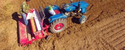 小麦施磷肥的方法，要科学配施氮钾锌肥