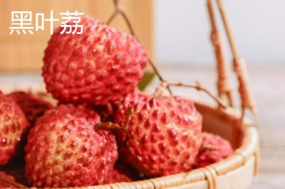 灵山荔枝品种,三月红的成熟时间最早