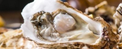 养殖什么比较赚钱，推荐南美白对虾、生蚝等