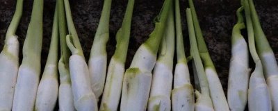 茭白的施肥方法,生长过程中需要追肥3-4次