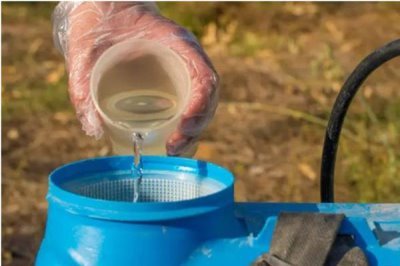 白术苗前除草剂的的选择,氟乐灵乳油和草胺乳油适合播种前除草