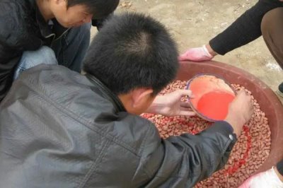 种衣剂的使用注意事项，使用过程中一定要严格执行操作规程
