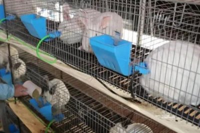 2025年乡村火爆生意预计，快递代理具有一定前景