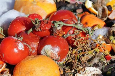 怎么制作肥料,先需要准备合适的原料