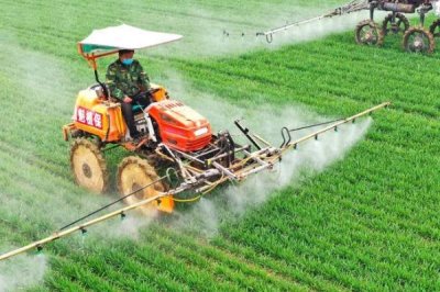 小麦种植时间和方法,播种时间会受到各地气候的影响