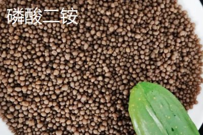 磷酸一铵和磷酸二铵的区别,氮和磷的比例和pH值均不同