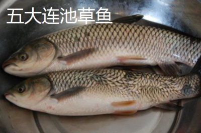 黑龙江五大连池市的特产，连池鸭蛋适合馈赠亲友
