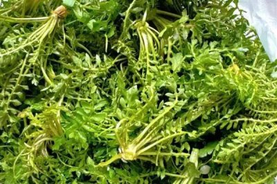 在家加工什么可以赚钱,小腌菜加工、糕点加工等项目值得考虑