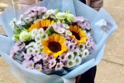 小雏菊的花语，寓意永远的快乐、深沉的爱意等