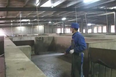 猪圈的冲洗方法,洗衣粉浸泡后再冲洗