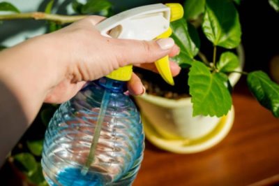 植物表面保护防冻专用剂有什么特点,方便使用、有效期长、功能多样